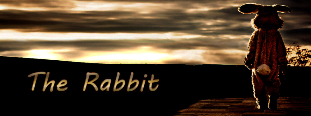 The Rabbit